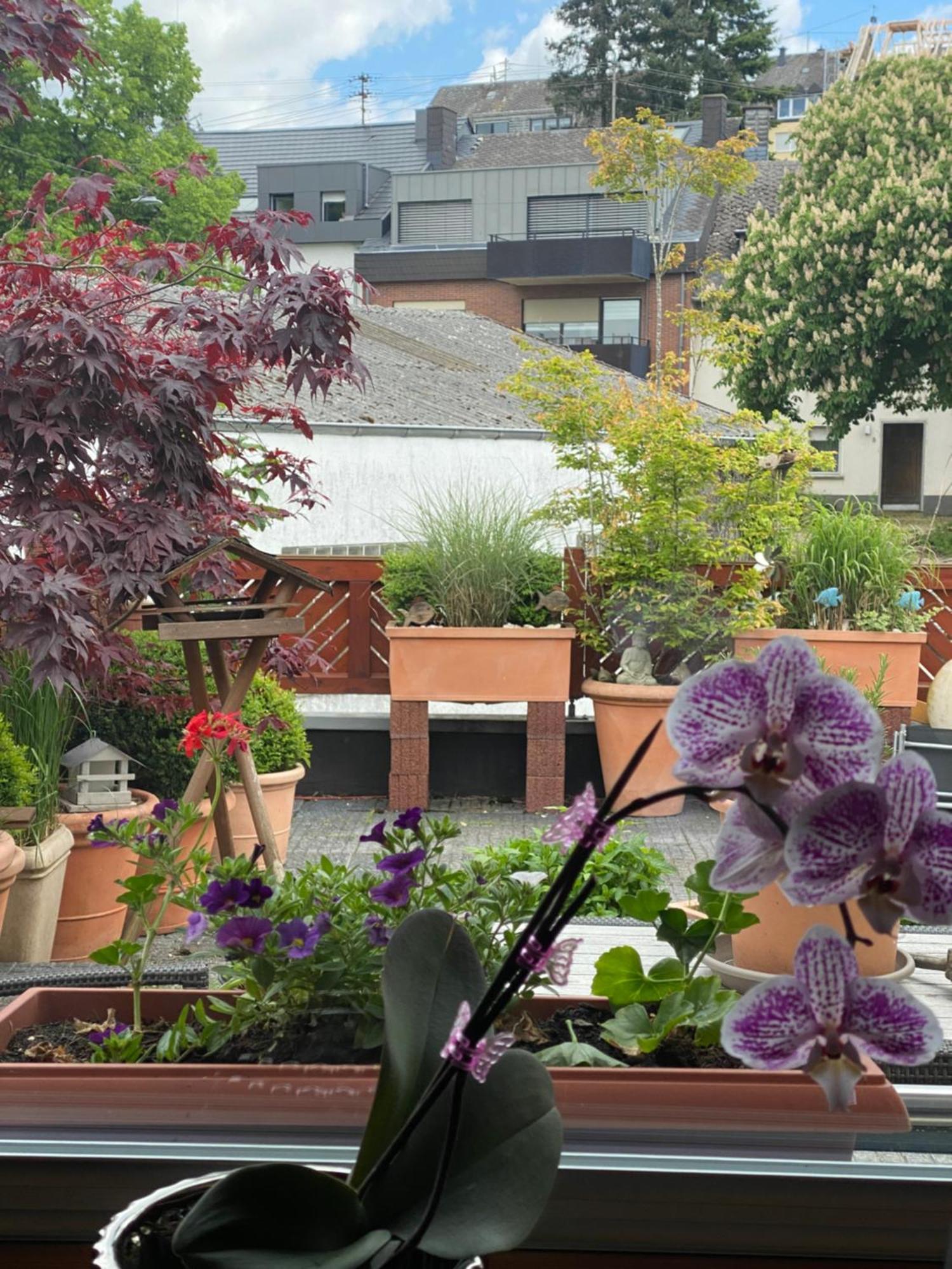 43 Appartement Trier